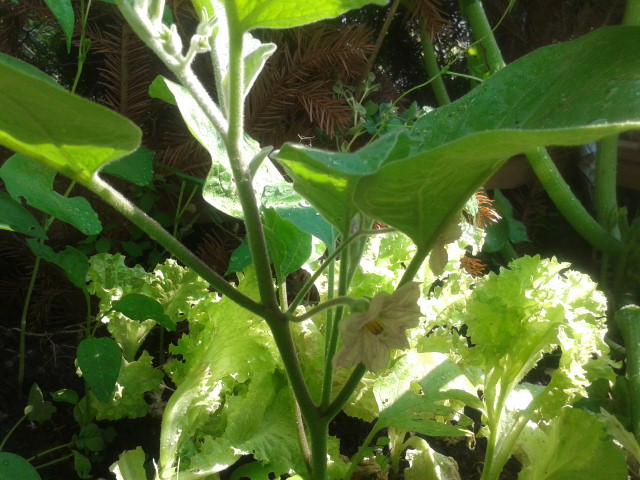 20130726_095424.jpg