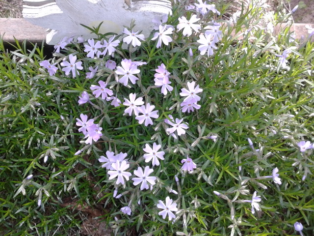 20130426_103538.jpg