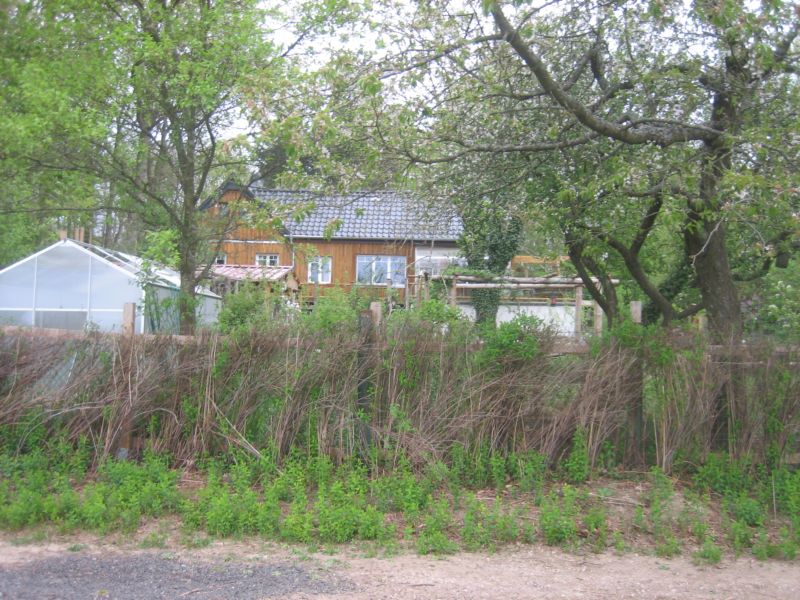 Frühling 414 001.jpg