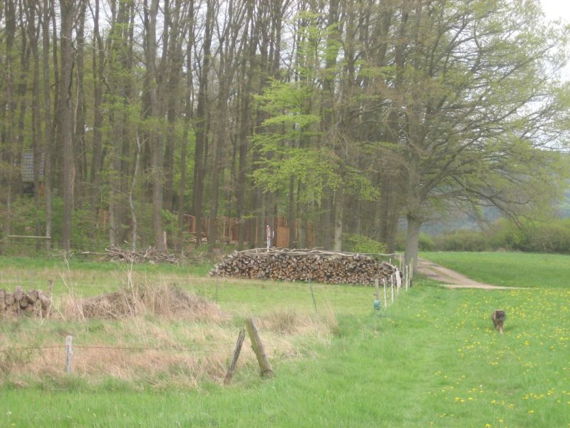 Frühling 414 003.jpg