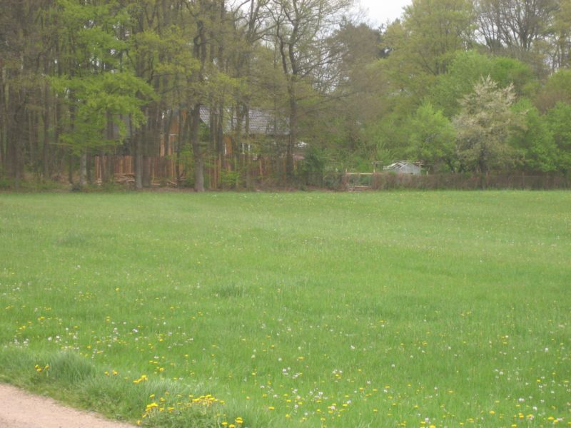 Frühling 414 007.jpg