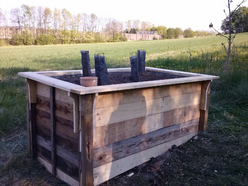 Unser erstes Hochbeet.jpg