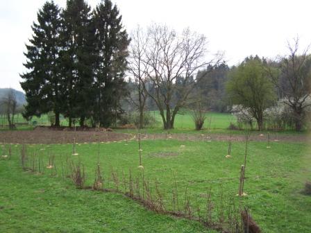 Wgarten mit Sfalle.JPG