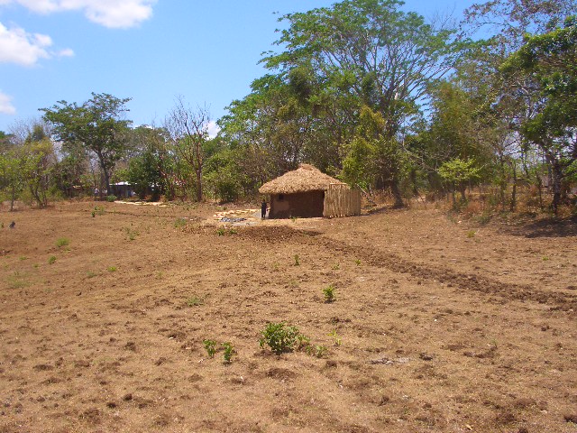 fast Alleinlage...........