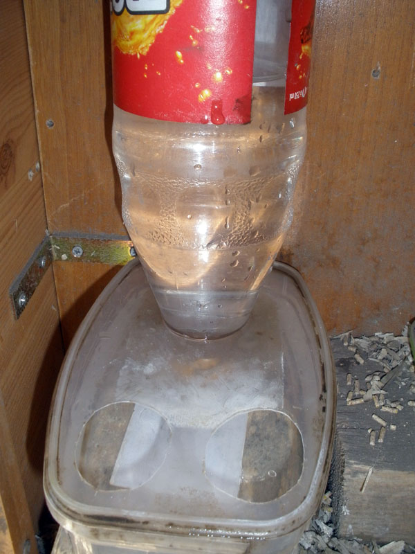 tränkautomat.JPG