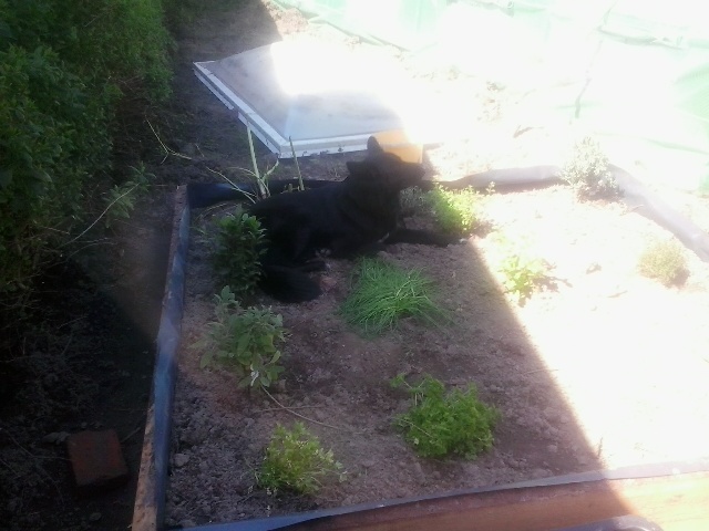 Und dann das, tztztz