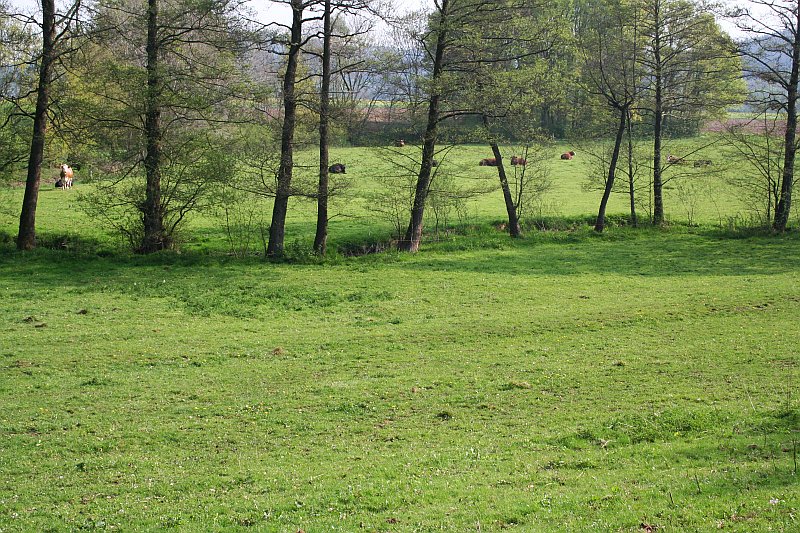 2011-04-28_1.jpg