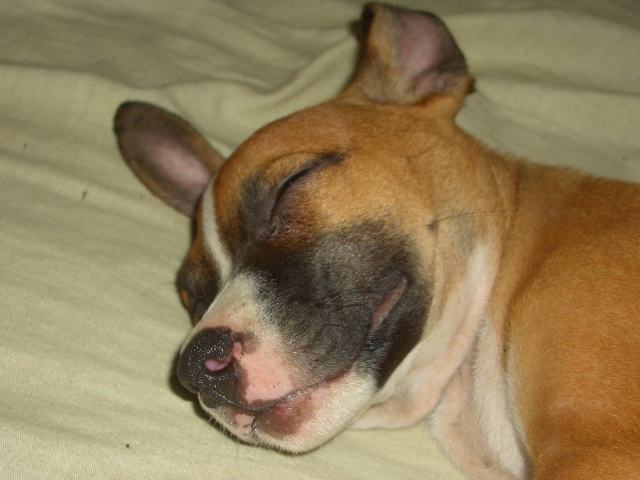 ob Lori ihre Pflicht erfüllt???