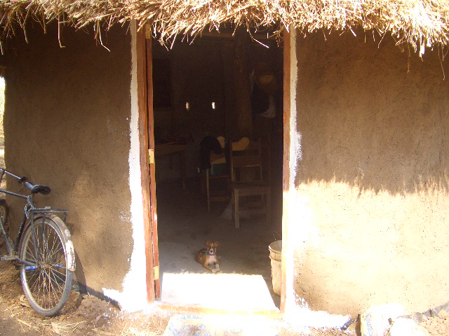 Tranquilo hört bald auf!